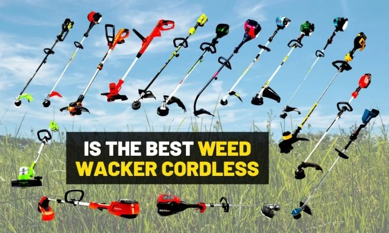 Battery powered weed eater review Battery powered weed eater review