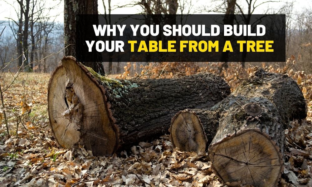 How to build a table straight from a tree Why you should build a table straight from a tree