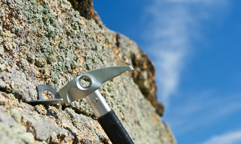 Different types of hammers you never knew existed