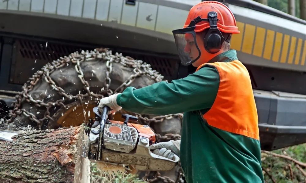 Protective equipment for working with chainsaw